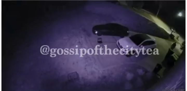 Video Shows “Black Ink Crew” Star Ceaser Emanuel mistreating dogs