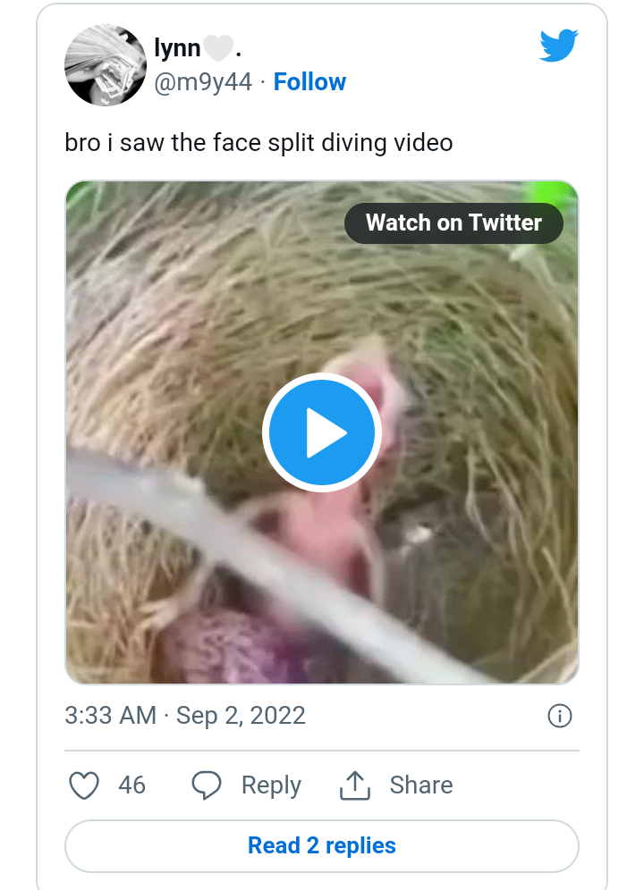 This is screenshot about the face split diving incident