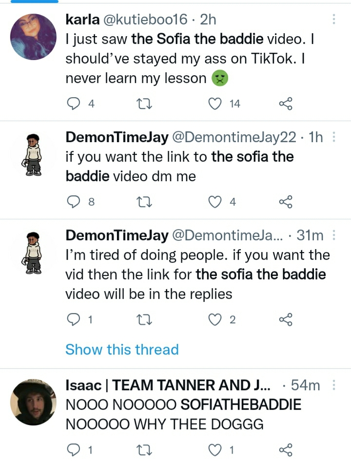 Screenshot of people's comments on Twitter about Sofia Baddie dog video 
