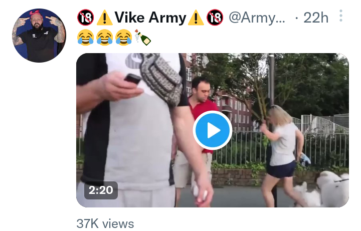 This screenshot is taken from the armyvike twitter