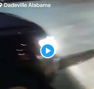 This is photo of Alabama birthday party Shooting Video